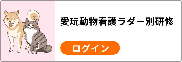 愛玩動物看護ラダー別研修