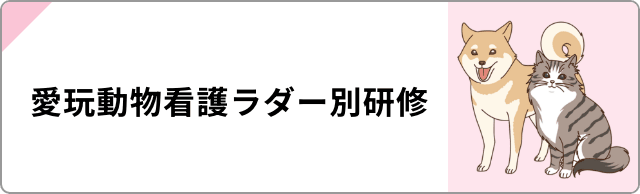 愛玩動物看護ラダー別研修