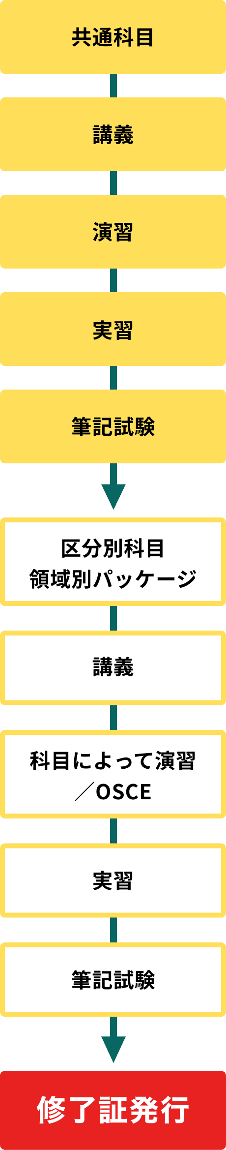 研修フロー